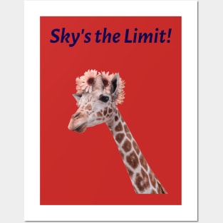 Sky's the limit Posters and Art